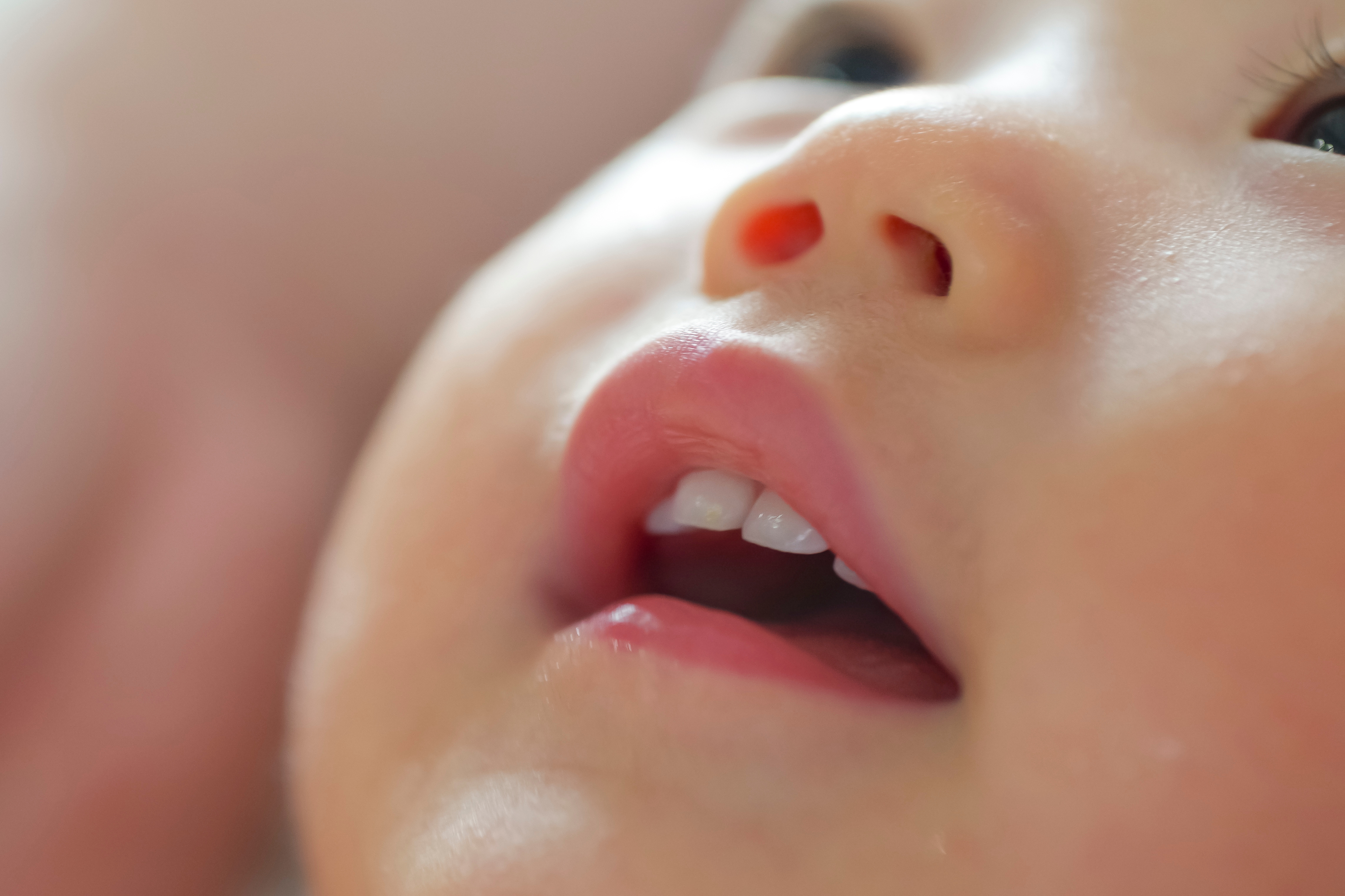 歯が生え始めた赤ちゃん