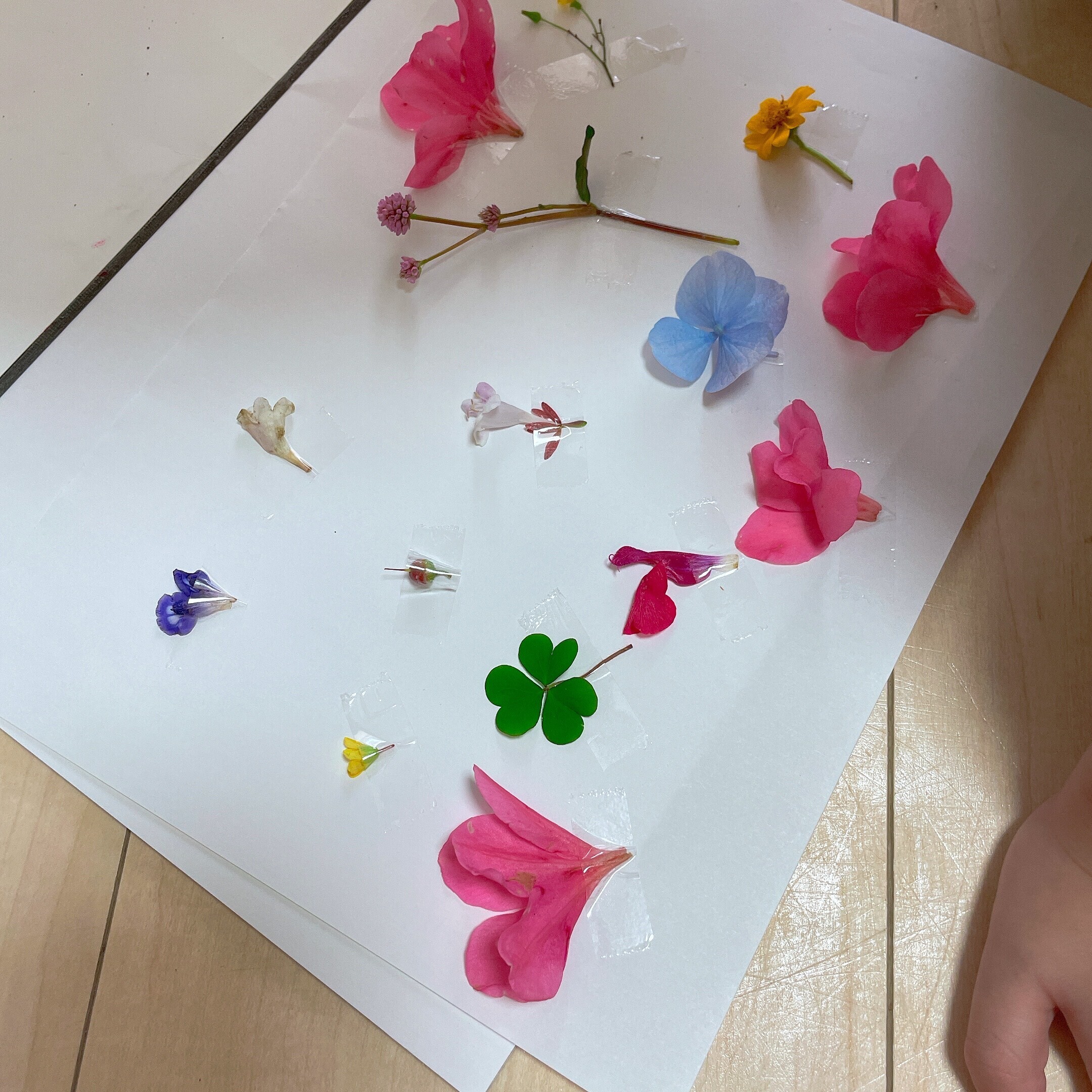 お花